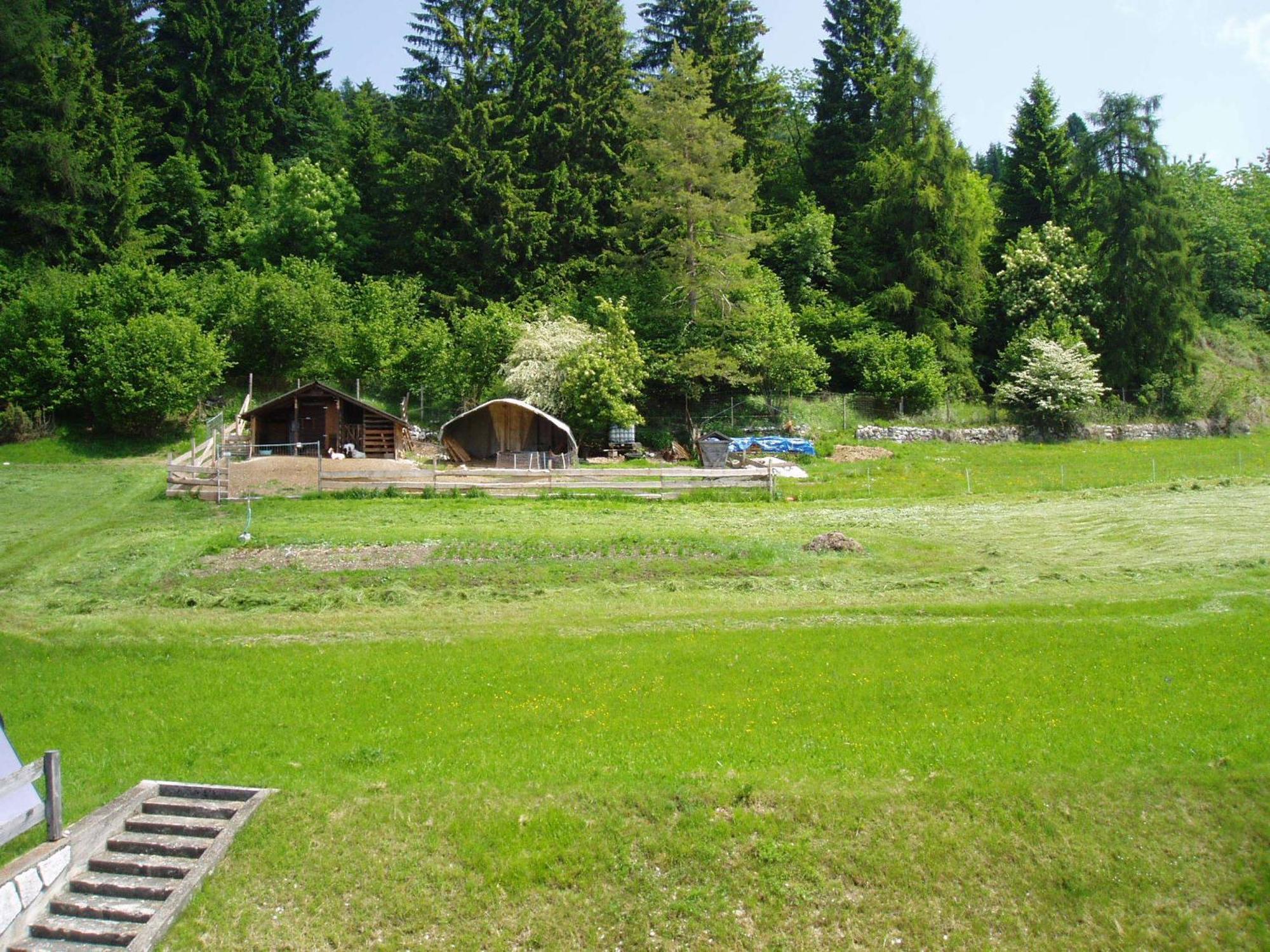 Giongo Residence - Appartamenti Lavarone Exteriör bild